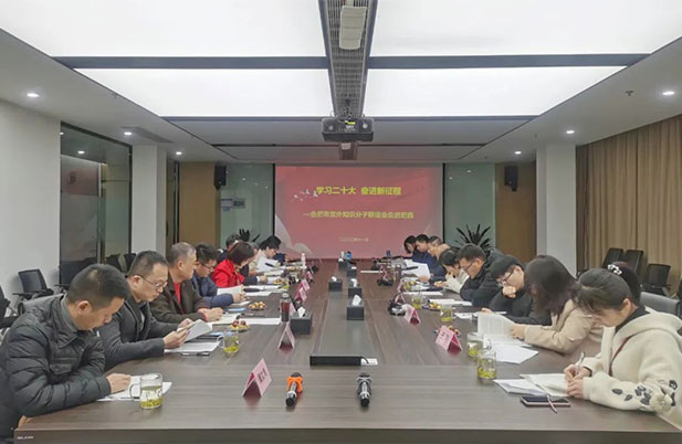 合肥市黨外知識分子聯(lián)誼會走進(jìn)肥西活動在磐石科技舉行